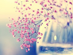 平面设计初学者必看